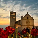 Il Sogno Di Olly - Assisi Lejlighed Santa Maria Degli Angeli (Assisi)