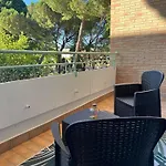Il Sogno Di Olly - Assisi