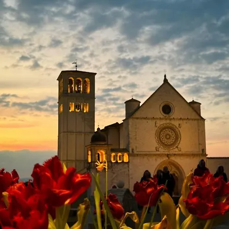 Il Sogno Di Olly - Assisi Lejlighed Santa Maria Degli Angeli (Assisi)
