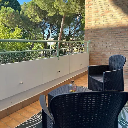 Il Sogno Di Olly - Assisi