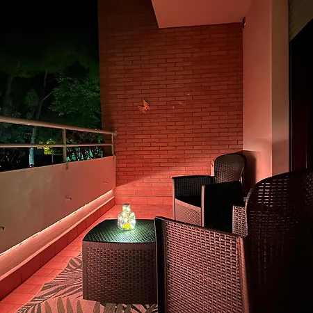 Il Sogno Di Olly - Assisi *