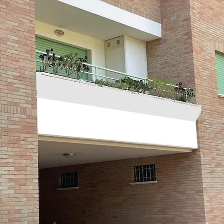 Il Sogno Di Olly - Assisi