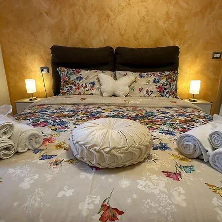 Il Sogno Di Olly - Assisi *